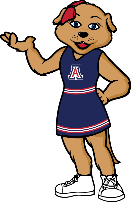 Arizona Wildcats 2013-Pres Mascot Logo DIY iron on transfer (heat transfer)